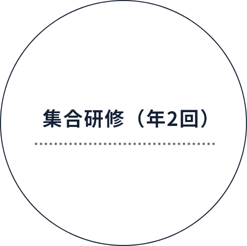 社員研修の種類｜集合研修(年2回)